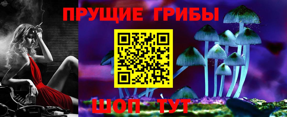 Рязань  Псилоцибиновые грибы MAGIC MUSHROOMS  Вход с VPN 